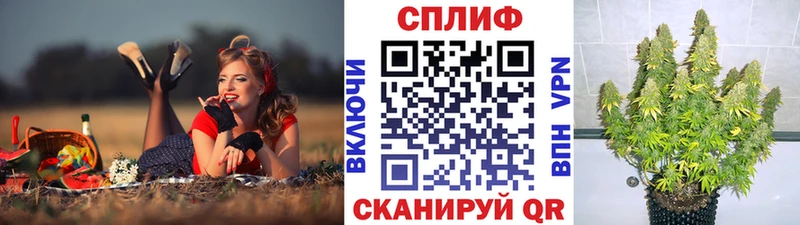 darknet как зайти  Юрьевец  omg   Конопля THC 21%  что такое  